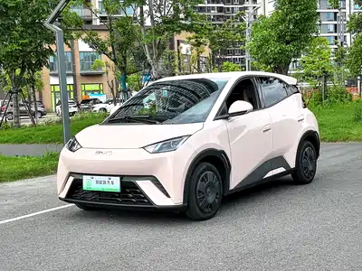 BYD Seagull 2024