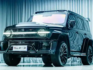 Crossboundary Auto Co-created Tank 300 2023