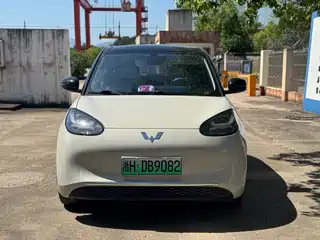 Wuling Motors Bingo 2024