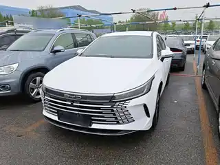BYD Destroyer 05 2024