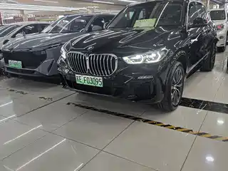 BMW X5 New Energy(Imported) 2021