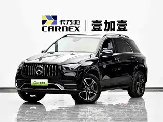 Mercedes-Benz Mercedes-Benz GLE New Energy 2021