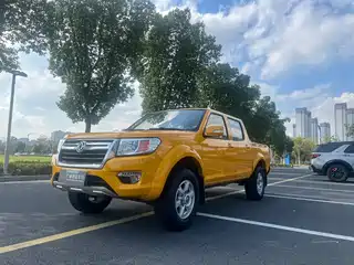 Dongfeng Ruiqi 2020