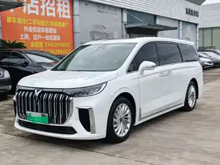 Voyah Auto Dreamer 2023