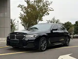 BMW 5 Series New Energy 2020