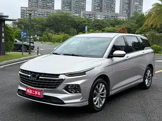 Wuling Motors Wuling Victory 2020