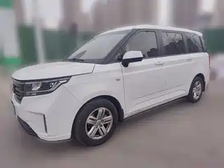 Wuling Motors Hongguang PLUS 2019