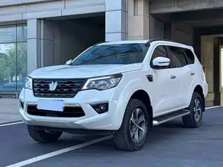 Dongfeng Fengdu Paladin 2024