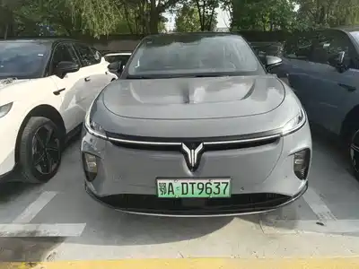 Voyah Auto Voyah Zhiyin 2024