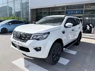 Dongfeng Fengdu Paladin 2023