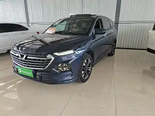 Wuling Motors Wuling Victory 2020