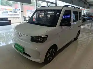 Wuling Motors Wuling Zhiguang NEV 2025