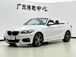 BMW 2 Series (Import) 2019