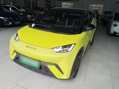 BYD Seagull 2024