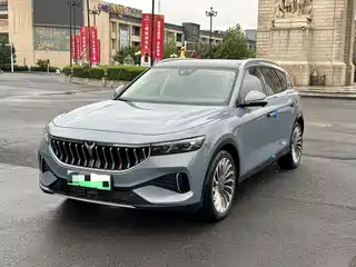Voyah Auto FREE 2021
