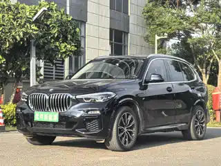 BMW X5 New Energy(Imported) 2020