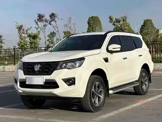 Dongfeng Fengdu Paladin 2024