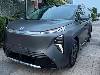 Buick Zhijing Shijia 2025