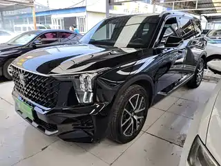 GAC Trumpchi Trumpchi GS8 2021