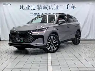 BYD Tang New Energy 2025