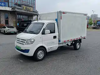 Ruichi Ruichi New Energy EC31 2021
