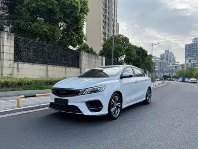 Geely Binrui 2019