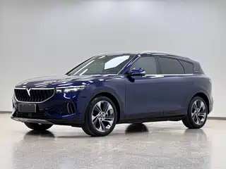 Voyah Auto FREE 2021