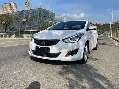 Hyundai Langdong 2016