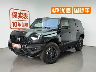 Mengshi 917 2023