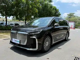Voyah Auto Dreamer 2024