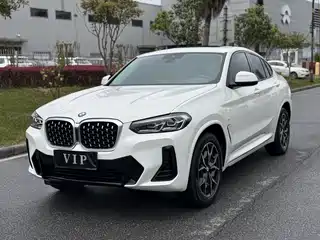 BMW BMW X4 2021