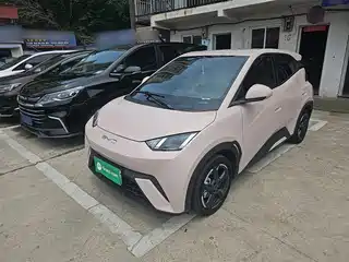 BYD Seagull 2023