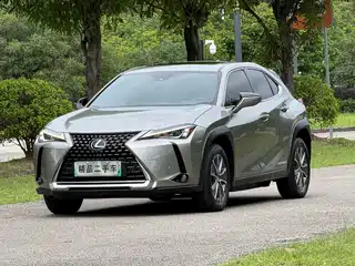 Lexus UX Electric 2020