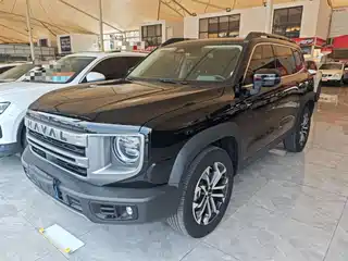 Haval Big Dog 2024