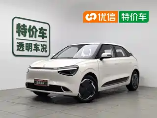 Dongfeng Yipai Nano 01 2024