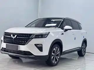Wuling Motors Wuling Xingchen 2021