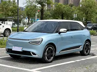 Dongfeng Yipai Nano 01 2024