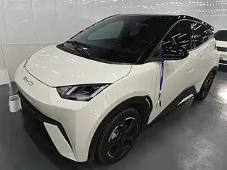 BYD Seagull 2024