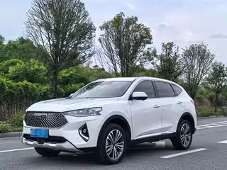 Haval Haval F7 2020