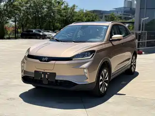 Weltmeister EX5 2019
