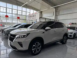 Wuling Motors Xingchen 2021