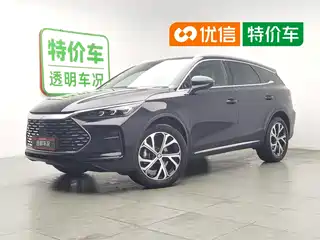 BYD Tang New Energy 2025