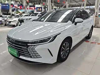BYD Destroyer 05 2024