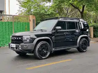 Jetour Shanhai T2 2024
