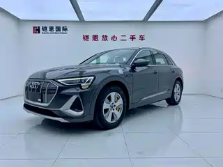 Audi Audi e-tron 2021