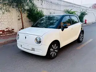 Ora Black Cat 2020