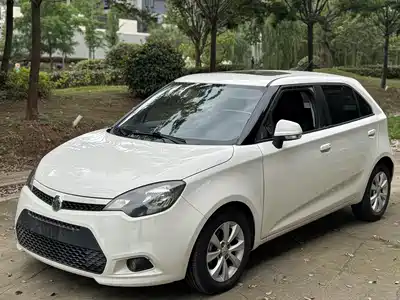 MG 3 2013