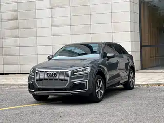 Audi Q2L e-tron 2021