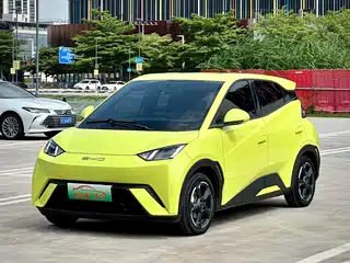BYD Seagull 2024
