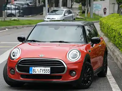 MINI MINI 2020